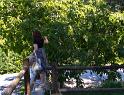 IMG_1024 copy